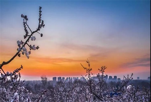 關(guān)于中央、省、市出臺的促進(jìn)企業(yè)復(fù)工復(fù)產(chǎn) 政策及主要內(nèi)容解讀