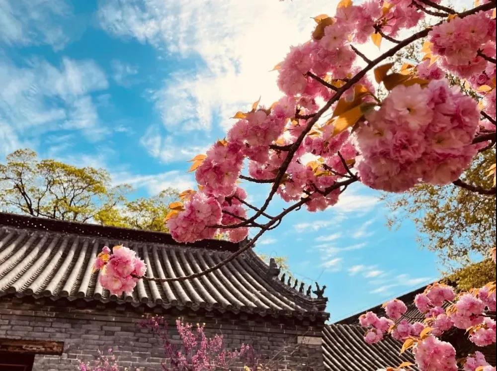 惠民卡景區(qū)推薦 | 孟府四月天，繁花爭斗艷！