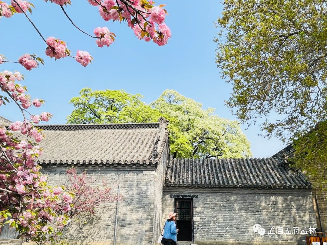 惠民卡景區(qū)推薦 | 千年府邸，流蘇花又開 錯過再等一年！